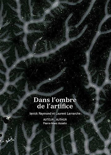 Stock image for Dans l'ombre de l'artifice [dition bilingue] for sale by Librairie La Canopee. Inc.