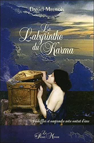 Beispielbild fr Le Labyrinthe du Karma - Dchiffrer et comprendre notre contrat d'me zum Verkauf von Librairie Pic de la Mirandole