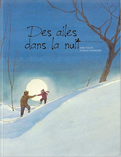 Stock image for Des Ailes Dans La Nuit for sale by Pages Books on Kensington