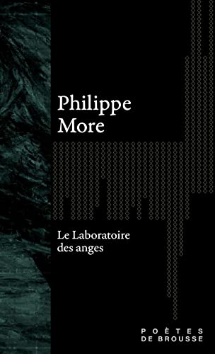 Beispielbild fr Laboratoire des anges (Le) zum Verkauf von Librairie La Canopee. Inc.
