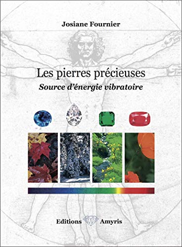 9782930353258: Les pierres prcieuses : source d'nergie vibratoire