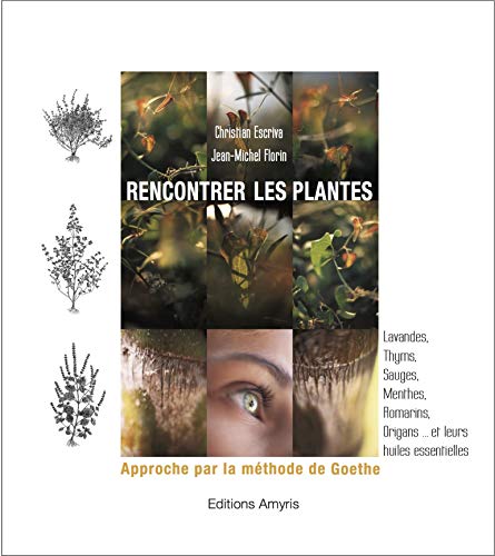 Beispielbild fr Rencontrer Les Plantes : Approche Par La Mthode De Goethe : Lavandes, Thyms, Sauges, Menthes, Romar zum Verkauf von RECYCLIVRE