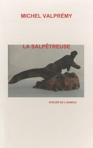 Beispielbild fr La salpetreuse textes et sculptures zum Verkauf von Gallix