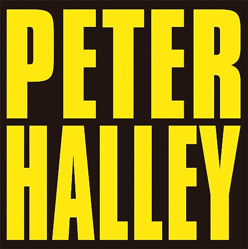 Beispielbild fr Peter Halley: Since 2000 zum Verkauf von Midtown Scholar Bookstore