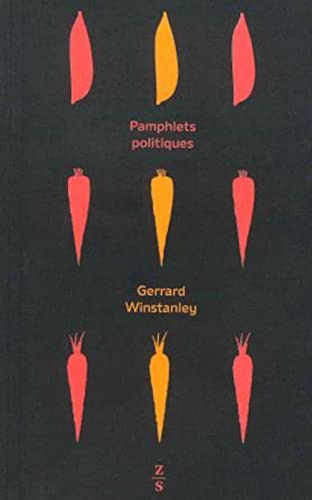 Beispielbild fr Pamphlets politiques zum Verkauf von Gallix