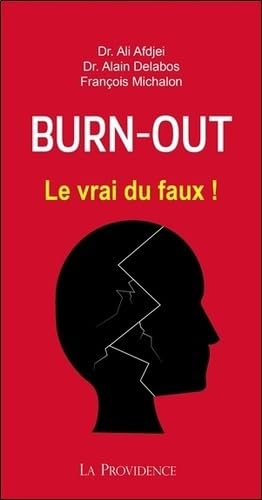 Stock image for Burn-out - Le vrai du faux ! for sale by Ammareal