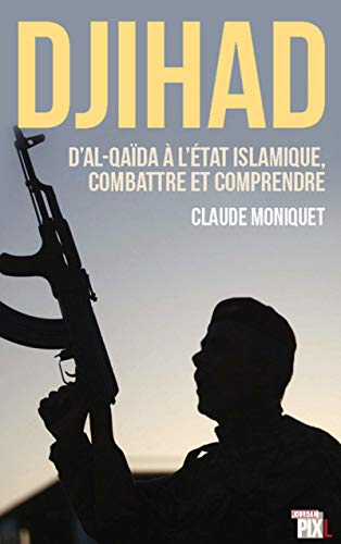 9782930757865: Djihad: D'Al-Qada  l'Etat islamique : combattre et comprendre le terrorisme