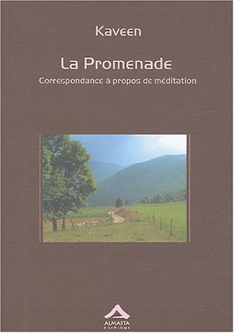 Beispielbild fr La promenade : Correspondance  propos de mditation zum Verkauf von Ammareal