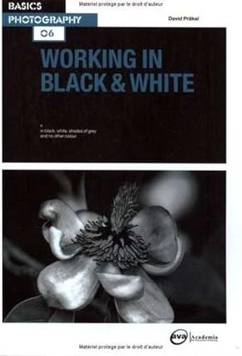 Beispielbild fr Working in Black & White: 6 (Basics Photography) zum Verkauf von Wonder Book