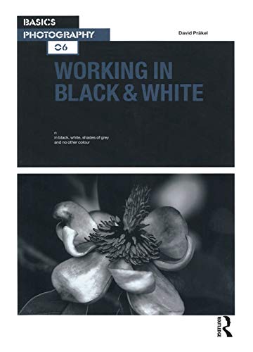 Stock image for Basics Photography 06: Working in Black & White for sale by ThriftBooks-Dallas