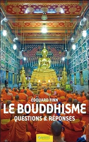 Stock image for Le Bouddhisme - Questions & r ponses [Paperback] Finn, Edouard for sale by LIVREAUTRESORSAS