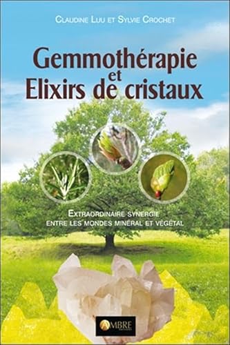 Beispielbild fr Gemmothrapie et Elixirs de cristaux - Extraordinaire synergie entre les mondes minral et vgtal zum Verkauf von Gallix