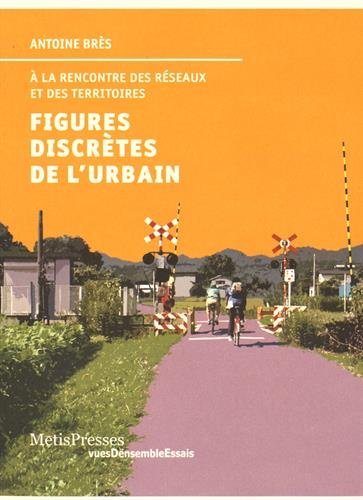 Beispielbild fr Figures Discrtes De L'urbain :  La Rencontre Des Rseaux Et Des Territoires zum Verkauf von RECYCLIVRE