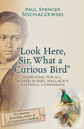 Stock image for Look Here, Sir, What a Curious Bird": Searching for Ali, Alfred Russel Wallace's Faithful Companion for sale by WorldofBooks