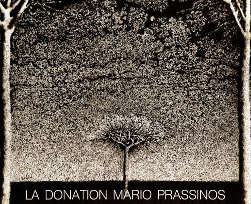 Imagen de archivo de Catalogue Raissone De La Donation Mario Prassinos a la venta por Peasant Birch Booksellers