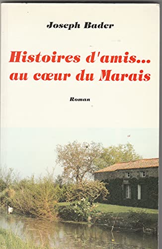 Imagen de archivo de Histoires d'amis. au coeur du Marais a la venta por medimops