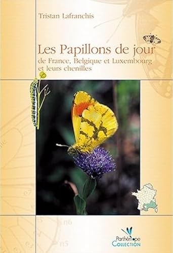 Stock image for Les Papillons De Jour De France, Belgique Et Luxembourg Et Leurs Chenilles for sale by RECYCLIVRE