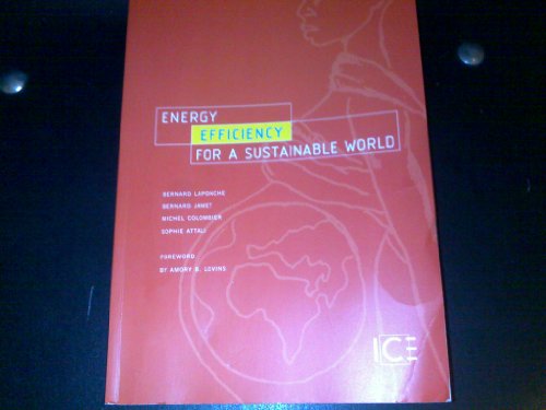 Imagen de archivo de Energy Efficiency for a Sustainable World a la venta por Ammareal