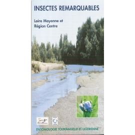 Beispielbild fr Insectes remarquables : Loire moyenne et Rgion centre zum Verkauf von Ammareal