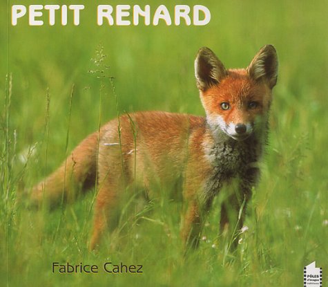 Stock image for Petit Renard for sale by RECYCLIVRE
