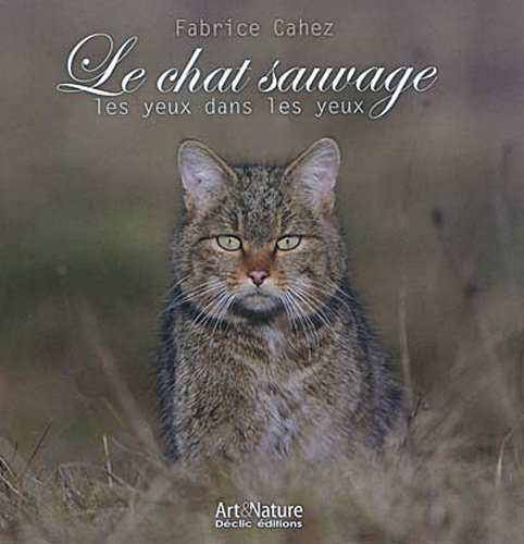 9782951872240: Le chat sauvage, les yeux dans les yeux