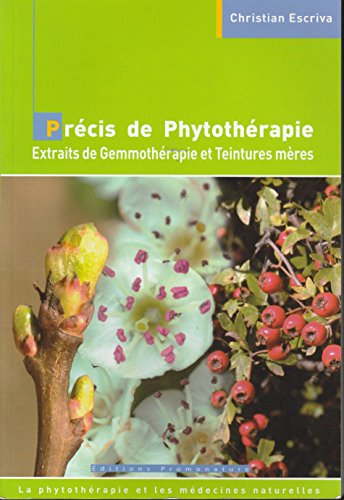 Beispielbild fr Precis de Phytotherapie Extraits de Gemmotherapie et Teintures Mres zum Verkauf von medimops