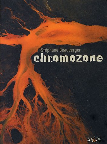Beispielbild fr Chromozone zum Verkauf von medimops