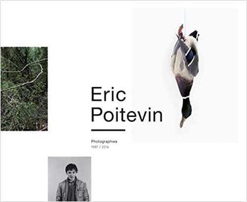 Stock image for Eric Poitevin 1981-2014 Poitevin, Eric; Mayeur, Catherine and Vergne, Jean-Charles for sale by Librairie LOVE