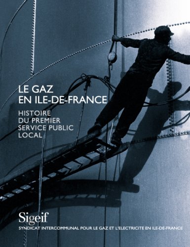 Stock image for Le Gaz En Ile-de-france : Histoire Du Premier Service Public Local for sale by RECYCLIVRE