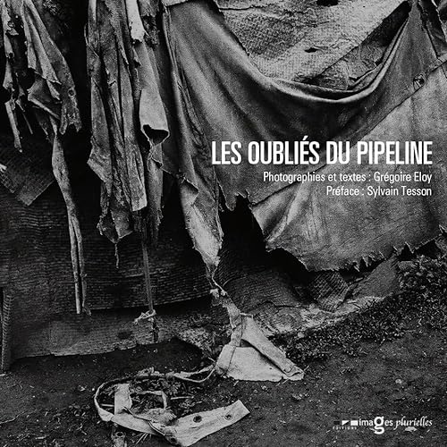 Beispielbild fr Les oublis du pipeline zum Verkauf von medimops