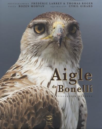 Stock image for Aigle De Bonelli : Mditerranen Mconnu for sale by RECYCLIVRE