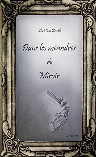 Beispielbild fr Dans les mandres du miroir zum Verkauf von medimops