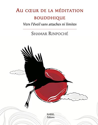 Stock image for Au coeur de la mditation bouddhique : Vers l'veil sans attaches ni limites for sale by Ammareal