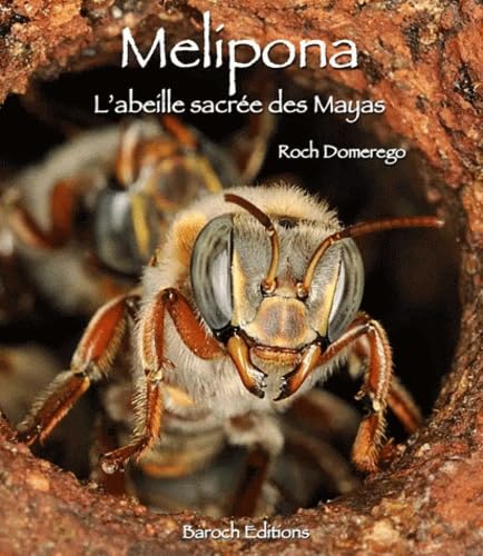 Stock image for Melipona, L'Abeille Sacre Des Mayas for sale by Gallix