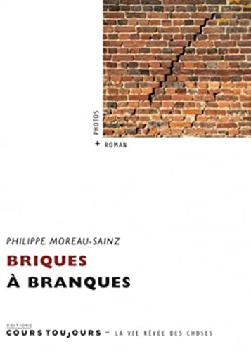 Beispielbild fr BRIQUES A BRANQUES zum Verkauf von Ammareal