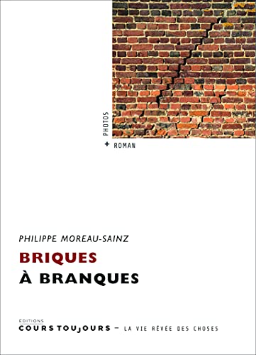 Stock image for BRIQUES A BRANQUES for sale by Ammareal