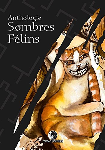 Stock image for Sombres Félins for sale by LiLi - La Libert des Livres