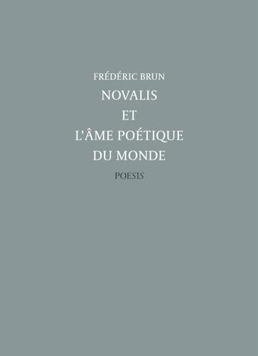 Stock image for Novalis et l'Ame Poetique du Monde for sale by Ammareal