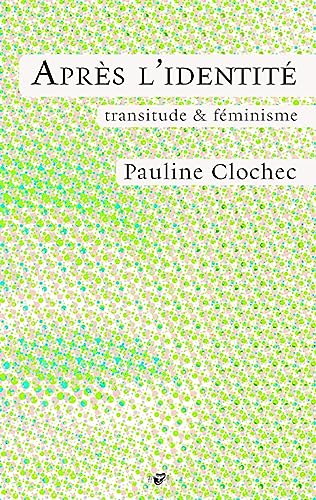 Beispielbild fr Aprs l'identit: transitude & fminisme zum Verkauf von Gallix