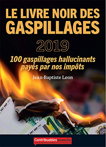 Imagen de archivo de Le Livre Noir Des Gaspillages 2019 a la venta por RECYCLIVRE