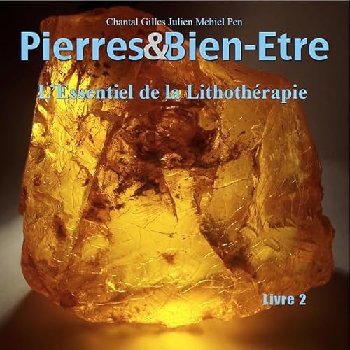 Stock image for Pierres & bien-etre livre 2: L'essentiel de la lithotherapie for sale by Gallix