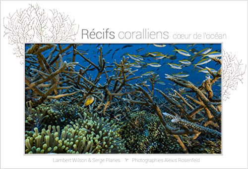 Beispielbild fr rcifs coralliens, coeur de l'ocean zum Verkauf von Chapitre.com : livres et presse ancienne