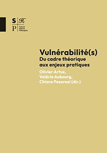 Beispielbild fr Vulnrabilit(s): Du cadre thorique aux enjeux pratiques zum Verkauf von Gallix