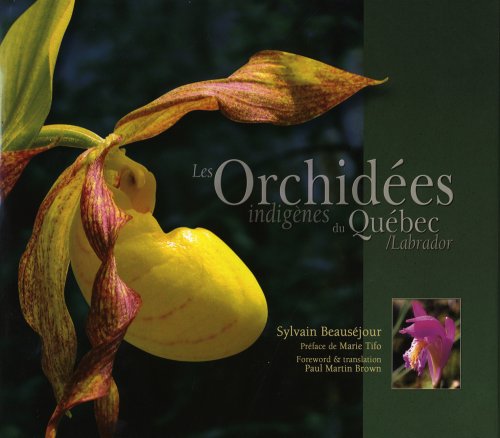 Beispielbild fr Orchides indignes du Qubec / Labrador zum Verkauf von Librairie La Canopee. Inc.