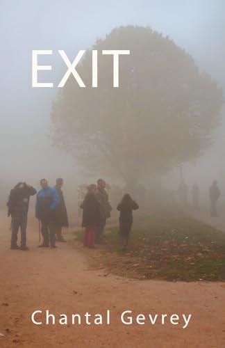 Beispielbild fr EXIT (French Edition) zum Verkauf von Book Deals
