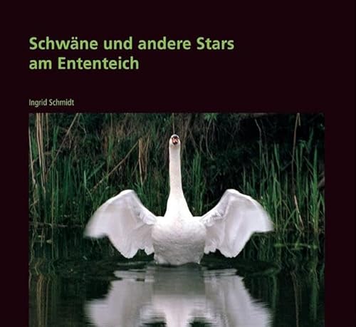 Beispielbild fr Schwne und andere Stars am Ententeich. Lustiges und Wissenswertes ber unsere Nachbarn im Park zum Verkauf von medimops