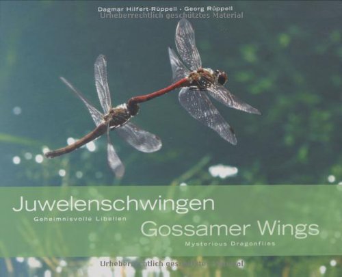 Beispielbild fr Juwelenschwingen /Gossamer Wings: Geheimnisvolle Libellen /Mysterious Dragonflies zum Verkauf von medimops
