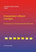 Beispielbild fr Energiedaten effizient managen : Ein Handbuch fr Energiewirtschaftsunternehmen zum Verkauf von Buchpark