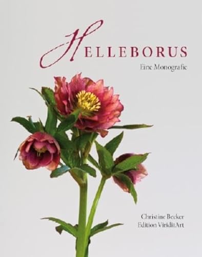 9783000352751: Helleborus: Eine Monografie