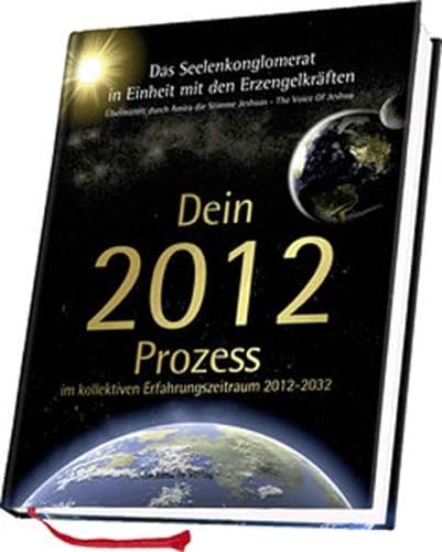 Beispielbild fr Dein 2012 Prozess: Im kollektiven Erfahrungszeitraum 2012-2032 [Hardcover] Michael Elrahim Amira zum Verkauf von tomsshop.eu